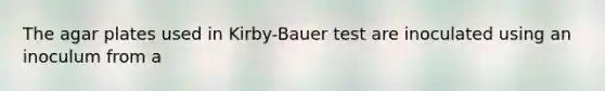 The agar plates used in Kirby-Bauer test are inoculated using an inoculum from a