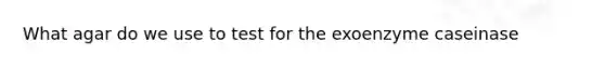 What agar do we use to test for the exoenzyme caseinase
