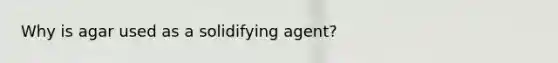 Why is agar used as a solidifying agent?