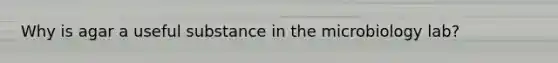 Why is agar a useful substance in the microbiology lab?