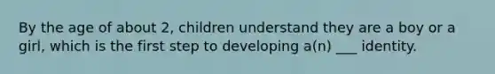 By the age of about 2, children understand they are a boy or a girl, which is the first step to developing a(n) ___ identity.