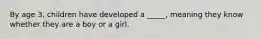 By age 3, children have developed a _____, meaning they know whether they are a boy or a girl.