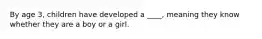 By age 3, children have developed a ____, meaning they know whether they are a boy or a girl.