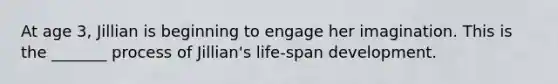 At age 3, Jillian is beginning to engage her imagination. This is the _______ process of Jillian's life-span development.