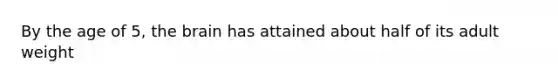 By the age of 5, the brain has attained about half of its adult weight