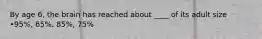 By age 6, the brain has reached about ____ of its adult size •95%, 65%, 85%, 75%
