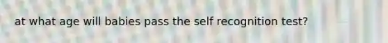 at what age will babies pass the self recognition test?