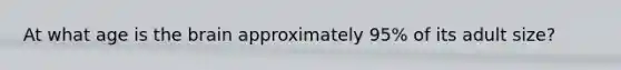 At what age is the brain approximately 95% of its adult size?