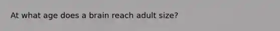 At what age does a brain reach adult size?