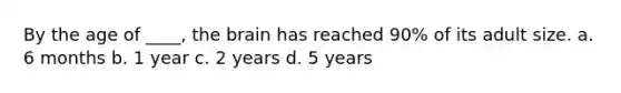 By the age of ____, the brain has reached 90% of its adult size. a. 6 months b. 1 year c. 2 years d. 5 years