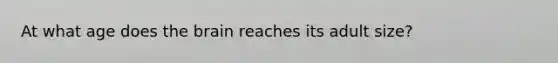 At what age does the brain reaches its adult size?