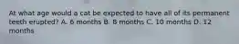 At what age would a cat be expected to have all of its permanent teeth erupted? A. 6 months B. 8 months C. 10 months D. 12 months