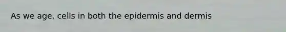 As we age, cells in both <a href='https://www.questionai.com/knowledge/kBFgQMpq6s-the-epidermis' class='anchor-knowledge'>the epidermis</a> and dermis