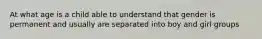 At what age is a child able to understand that gender is permanent and usually are separated into boy and girl groups