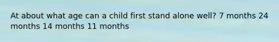 At about what age can a child first stand alone well? 7 months 24 months 14 months 11 months