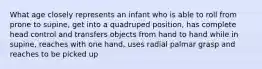 What age closely represents an infant who is able to roll from prone to supine, get into a quadruped position, has complete head control and transfers objects from hand to hand while in supine, reaches with one hand, uses radial palmar grasp and reaches to be picked up