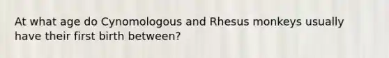 At what age do Cynomologous and Rhesus monkeys usually have their first birth between?