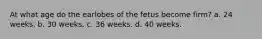 At what age do the earlobes of the fetus become firm? a. 24 weeks. b. 30 weeks. c. 36 weeks. d. 40 weeks.