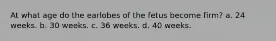 At what age do the earlobes of the fetus become firm? a. 24 weeks. b. 30 weeks. c. 36 weeks. d. 40 weeks.