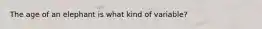 The age of an elephant is what kind of variable?