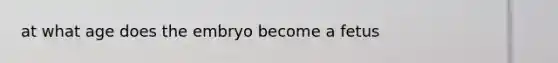 at what age does the embryo become a fetus