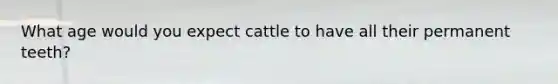 What age would you expect cattle to have all their permanent teeth?