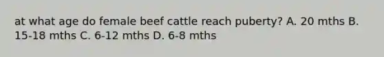 at what age do female beef cattle reach puberty? A. 20 mths B. 15-18 mths C. 6-12 mths D. 6-8 mths