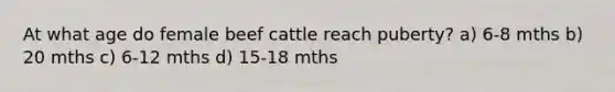 At what age do female beef cattle reach puberty? a) 6-8 mths b) 20 mths c) 6-12 mths d) 15-18 mths