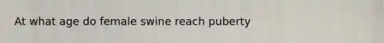 At what age do female swine reach puberty