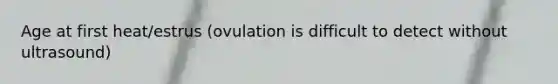 Age at first heat/estrus (ovulation is difficult to detect without ultrasound)