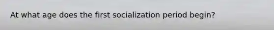 At what age does the first socialization period begin?