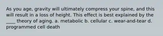 As you age, gravity will ultimately compress your spine, and this will result in a loss of height. This effect is best explained by the ____ theory of aging. a. metabolic b. cellular c. wear-and-tear d. programmed cell death