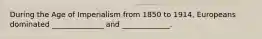During the Age of Imperialism from 1850 to 1914, Europeans dominated ______________ and _____________.