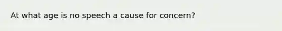 At what age is no speech a cause for concern?