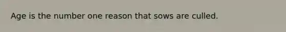 Age is the number one reason that sows are culled.