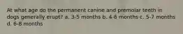 At what age do the permanent canine and premolar teeth in dogs generally erupt? a. 3-5 months b. 4-6 months c. 5-7 months d. 6-8 months