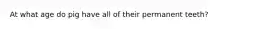 At what age do pig have all of their permanent teeth?