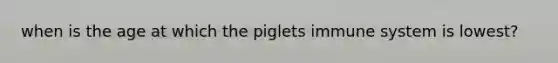 when is the age at which the piglets immune system is lowest?