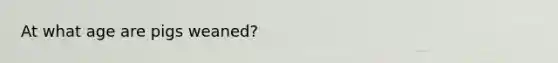 At what age are pigs weaned?