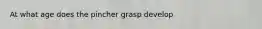 At what age does the pincher grasp develop