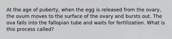 At the age of puberty, when the egg is released from the ovary, the ovum moves to the surface of the ovary and bursts out. The ova falls into the fallopian tube and waits for fertilization. What is this process called?