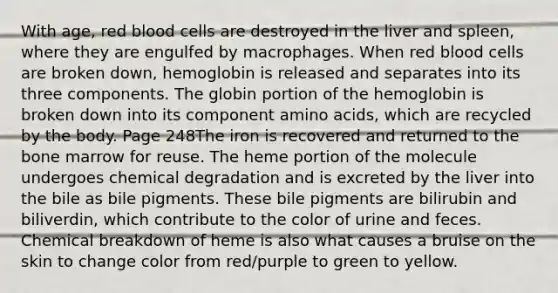 With age, red blood cells are destroyed in the liver and spleen, where they are engulfed by macrophages. When red blood cells are broken down, hemoglobin is released and separates into its three components. The globin portion of the hemoglobin is broken down into its component amino acids, which are recycled by the body. Page 248The iron is recovered and returned to the bone marrow for reuse. The heme portion of the molecule undergoes chemical degradation and is excreted by the liver into the bile as bile pigments. These bile pigments are bilirubin and biliverdin, which contribute to the color of urine and feces. Chemical breakdown of heme is also what causes a bruise on the skin to change color from red/purple to green to yellow.