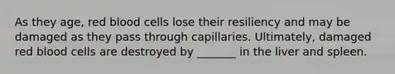 As they age, red blood cells lose their resiliency and may be damaged as they pass through capillaries. Ultimately, damaged red blood cells are destroyed by _______ in the liver and spleen.