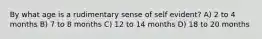 By what age is a rudimentary sense of self evident? A) 2 to 4 months B) 7 to 8 months C) 12 to 14 months D) 18 to 20 months