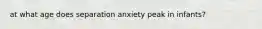 at what age does separation anxiety peak in infants?