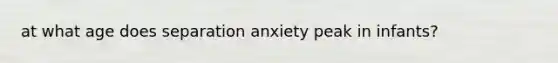 at what age does separation anxiety peak in infants?