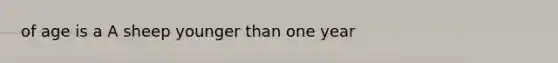 of age is a A sheep younger than one year