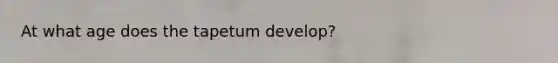 At what age does the tapetum develop?