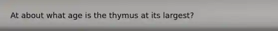 At about what age is the thymus at its largest?