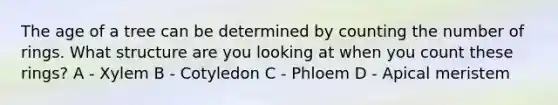 The age of a tree can be determined by counting the number of rings. What structure are you looking at when you count these rings? A - Xylem B - Cotyledon C - Phloem D - Apical meristem